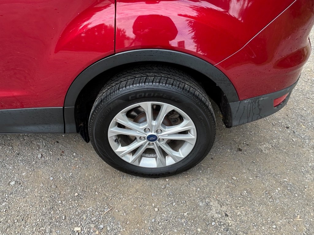 2019 Ford Escape SE photo 9