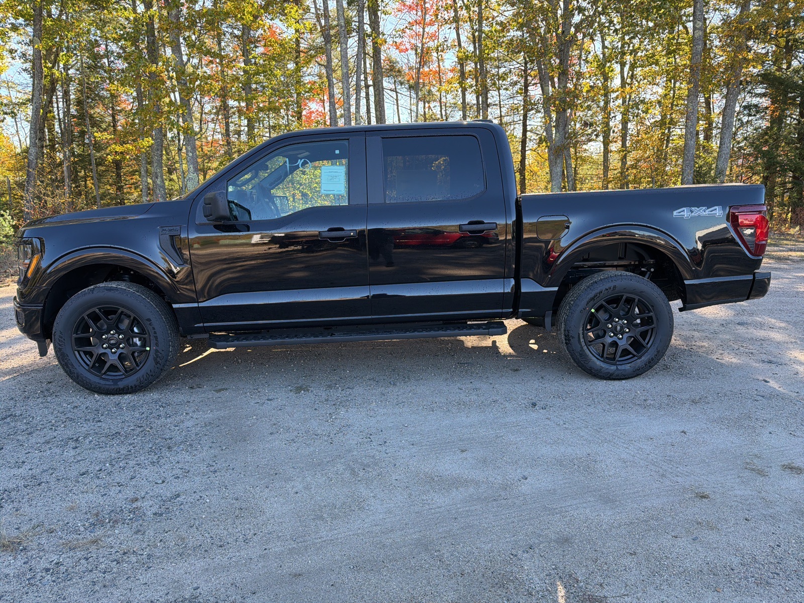 2025 Ford F-150 STX photo 4