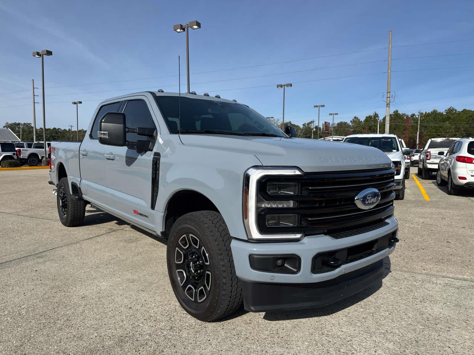 2025 Ford F-250 Super Duty Platinum's photo