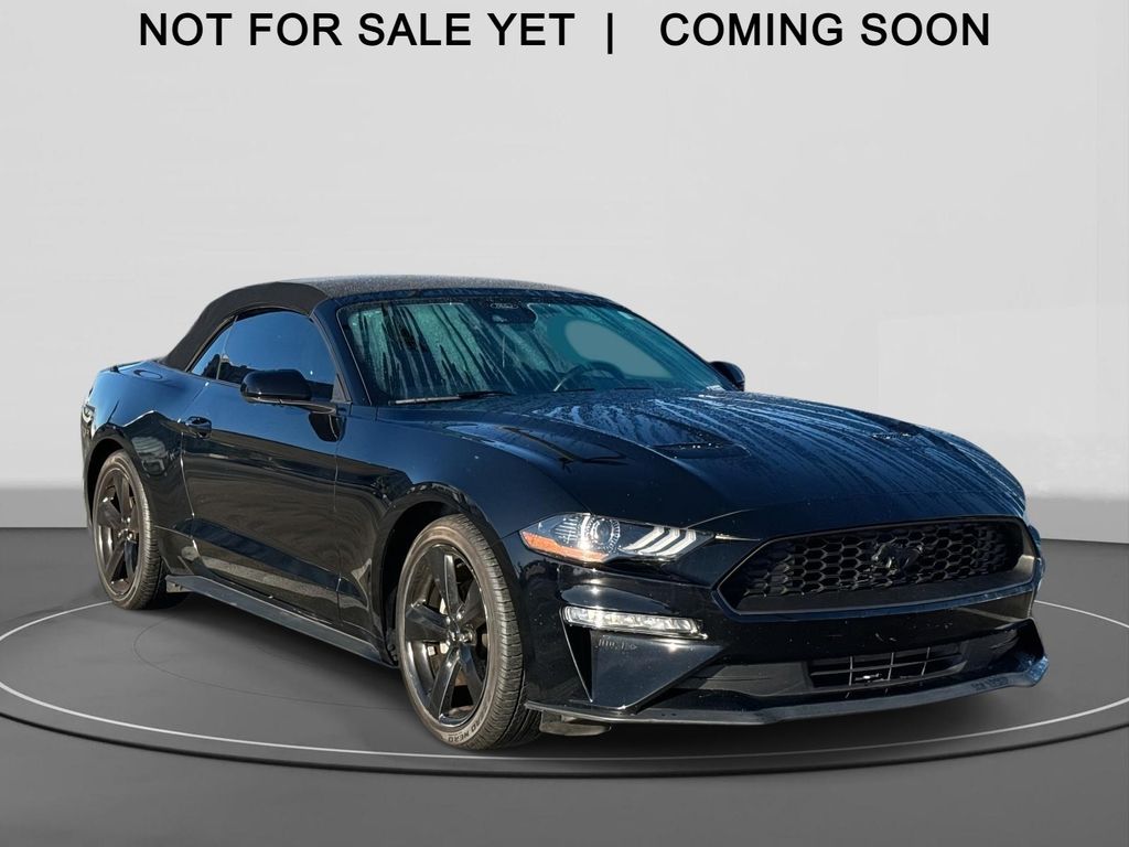 2021 Ford Mustang EcoBoost's photo