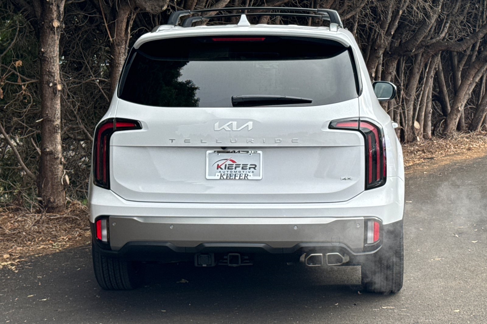 2025 Kia Telluride SX Prestige photo 3
