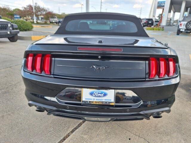 2019 Ford Mustang EcoBoost Premium photo 2