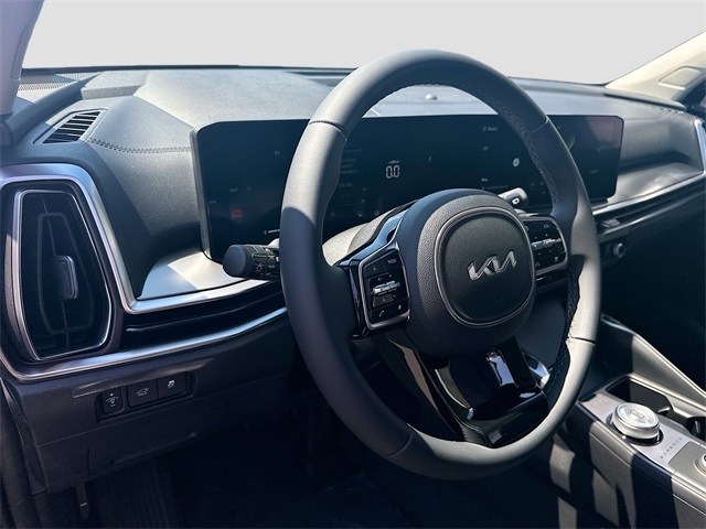 2025 Kia Sorento Hybrid EX photo 9