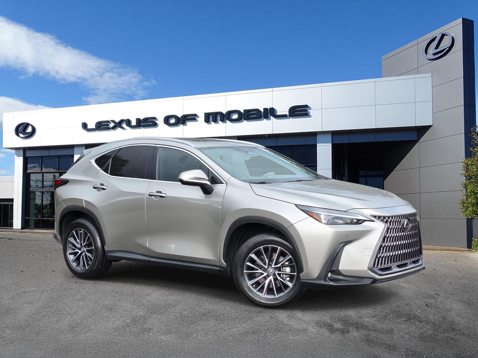 2022 Lexus NX 350's photo