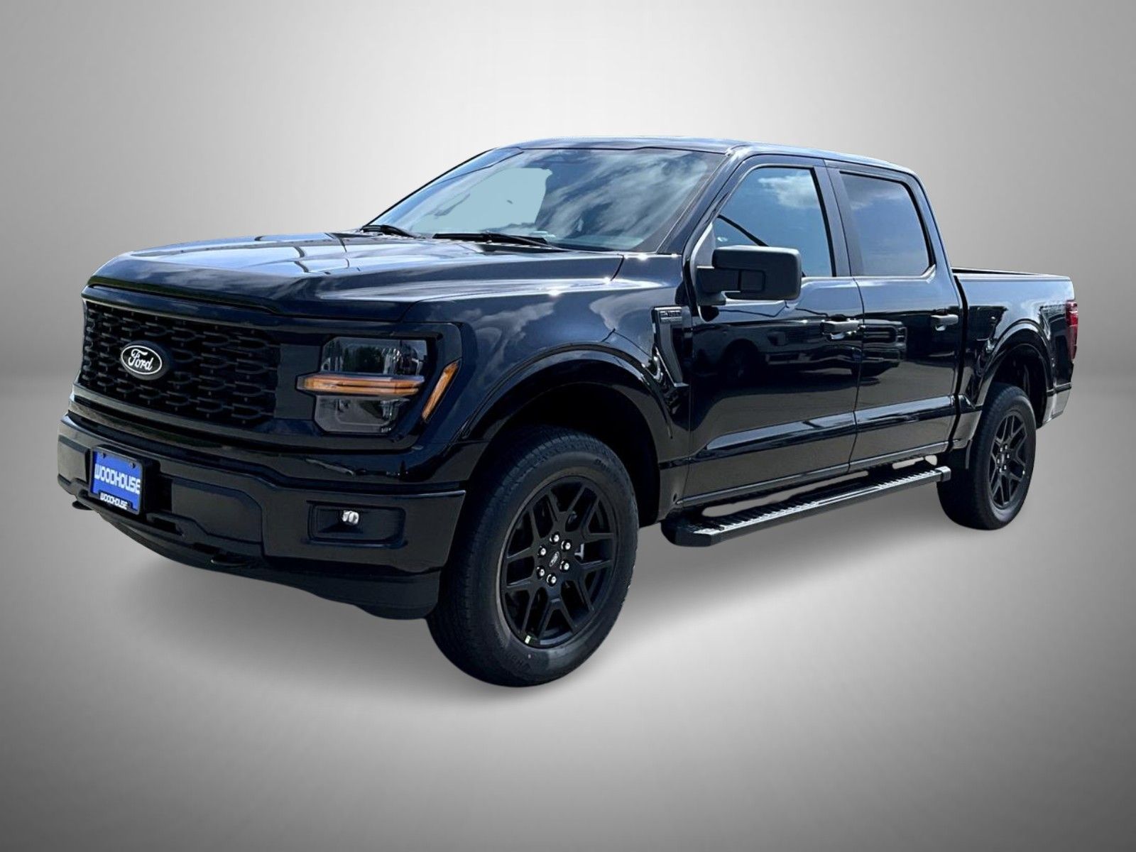 2025 Ford F-150 STX's photo