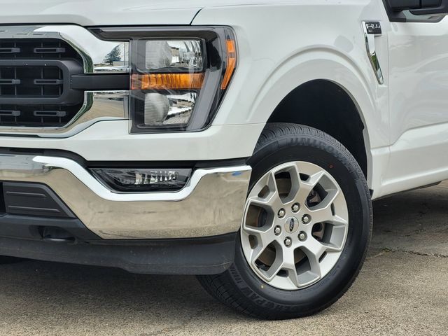 2023 Ford F-150 XLT photo 3