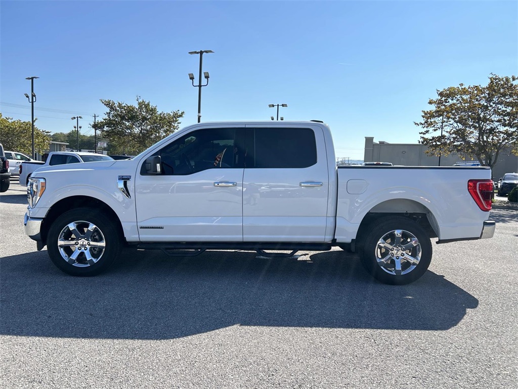2021 Ford F-150 XLT photo 7