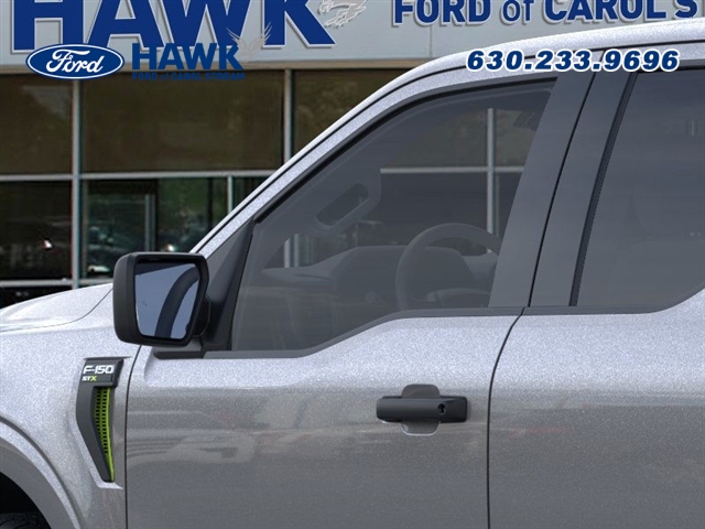 2025 FORD F-150 - Image 20