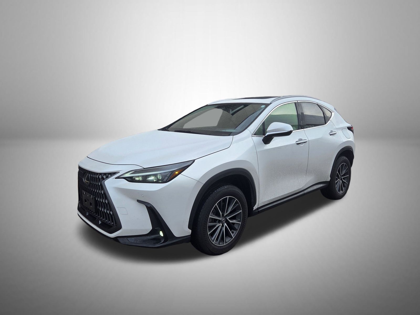 2024 Lexus NX 250's photo