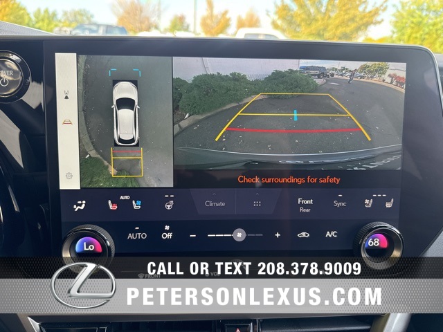 2024 Lexus RX 350h Luxury photo 16