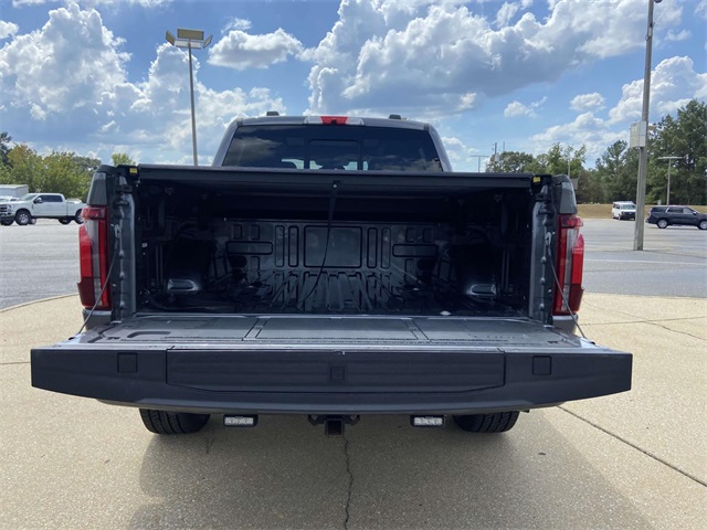 2024 Ford F-150 Platinum photo 7