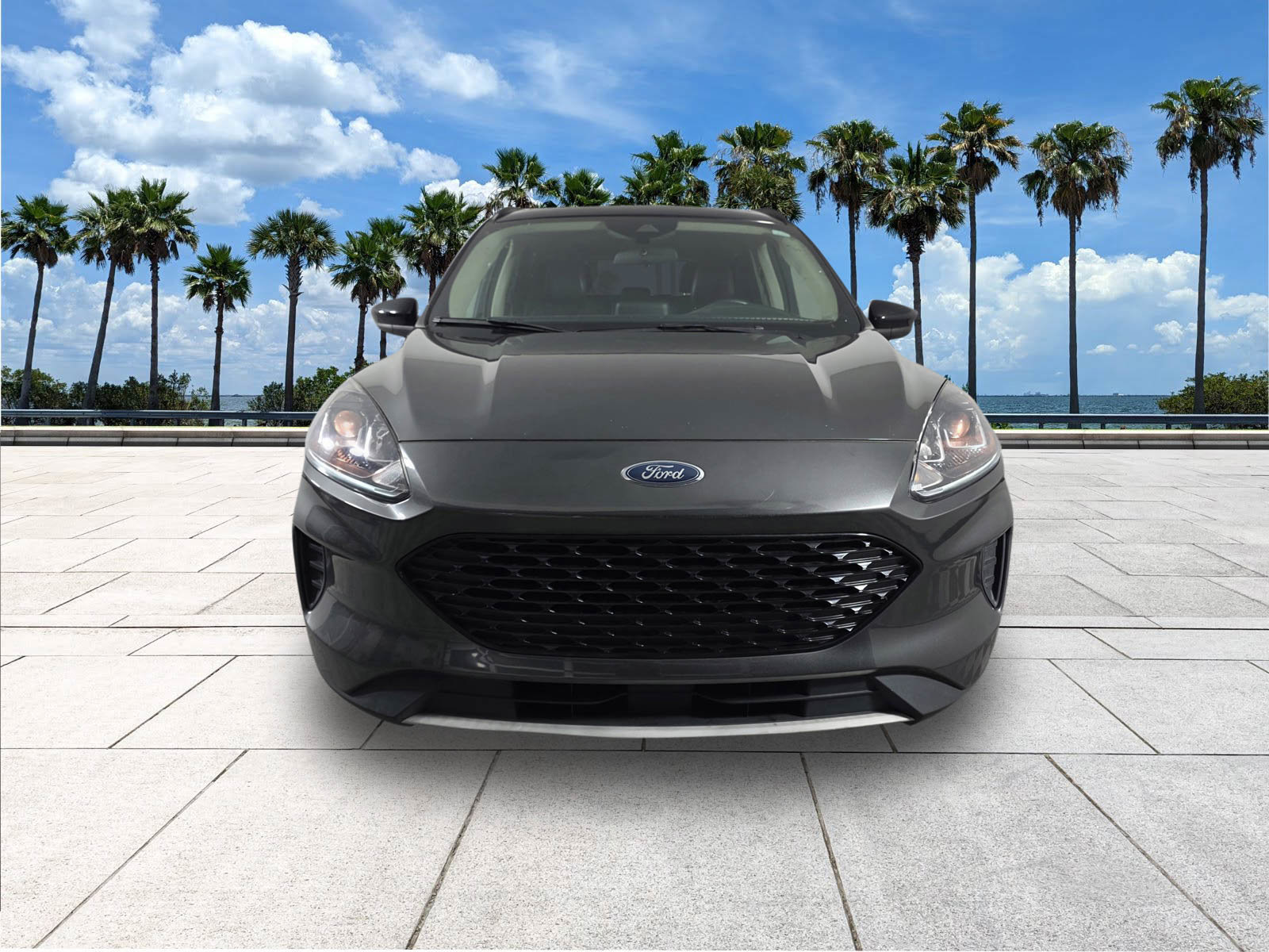 2020 Ford Escape SE Sport Hybrid photo 2