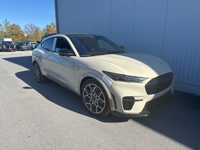 2025 Ford Mustang Mach-E GT AWD's photo