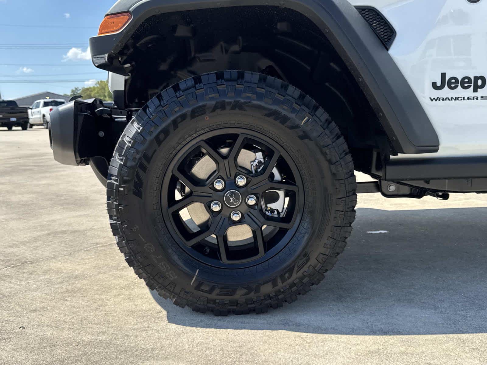 2025 Jeep Wrangler Willys photo 4
