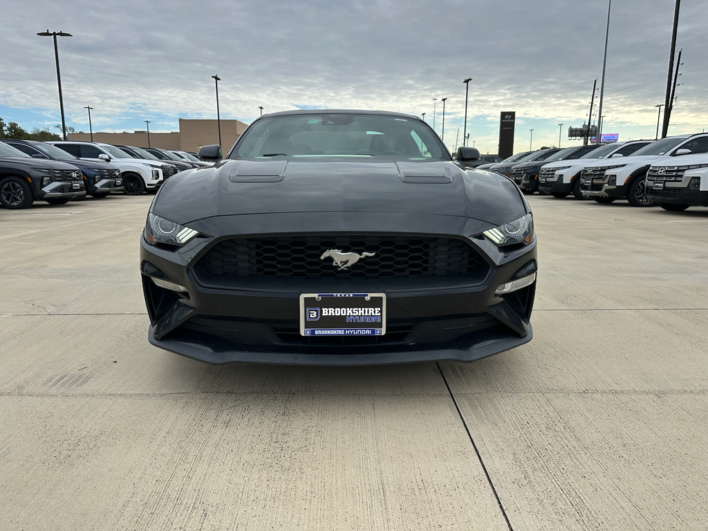 2019 Ford Mustang EcoBoost Premium photo 2