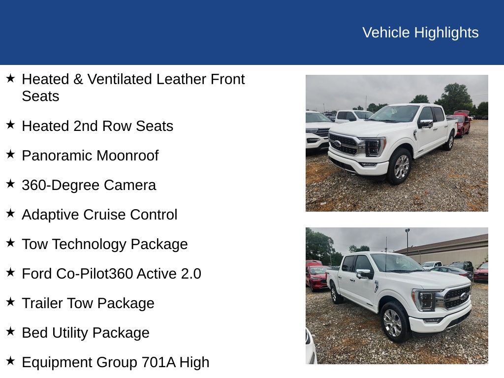 2022 Ford F-150 Platinum photo 5