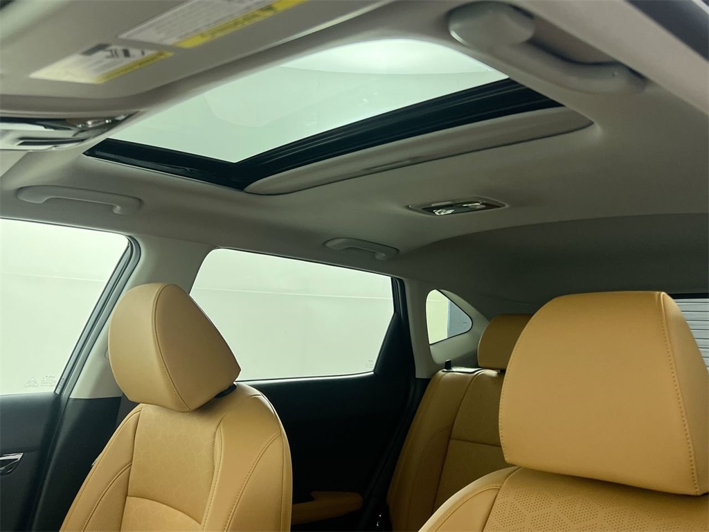 2025 Kia Seltos EX photo 16