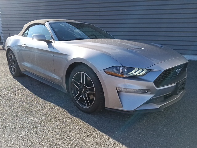 2023 Ford Mustang EcoBoost Premium's photo
