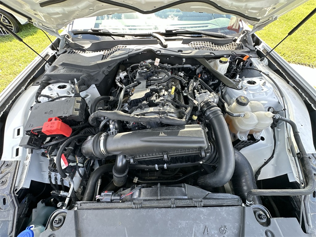 View 25
