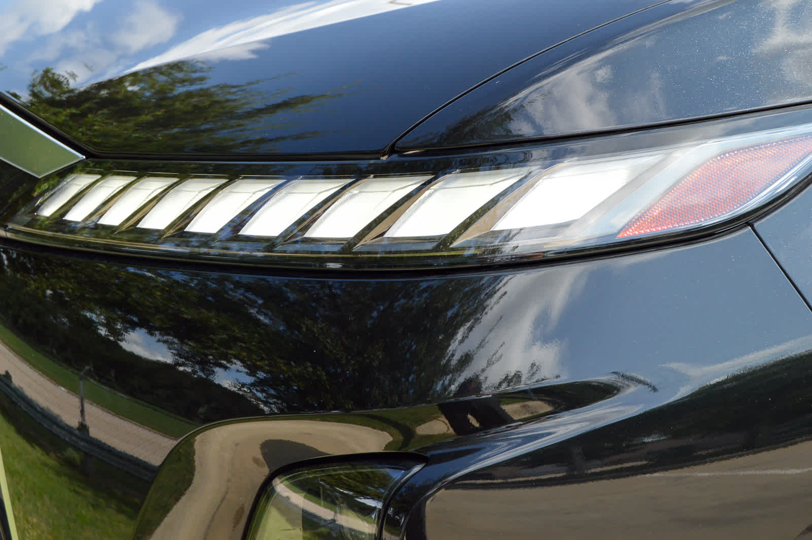 2025 Infiniti QX80 Sensory photo 7