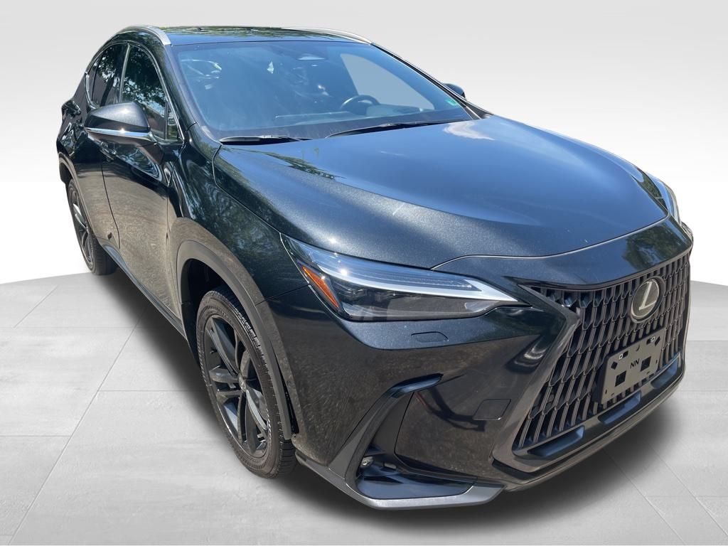 2024 Lexus NX 450h+ Luxury photo 10