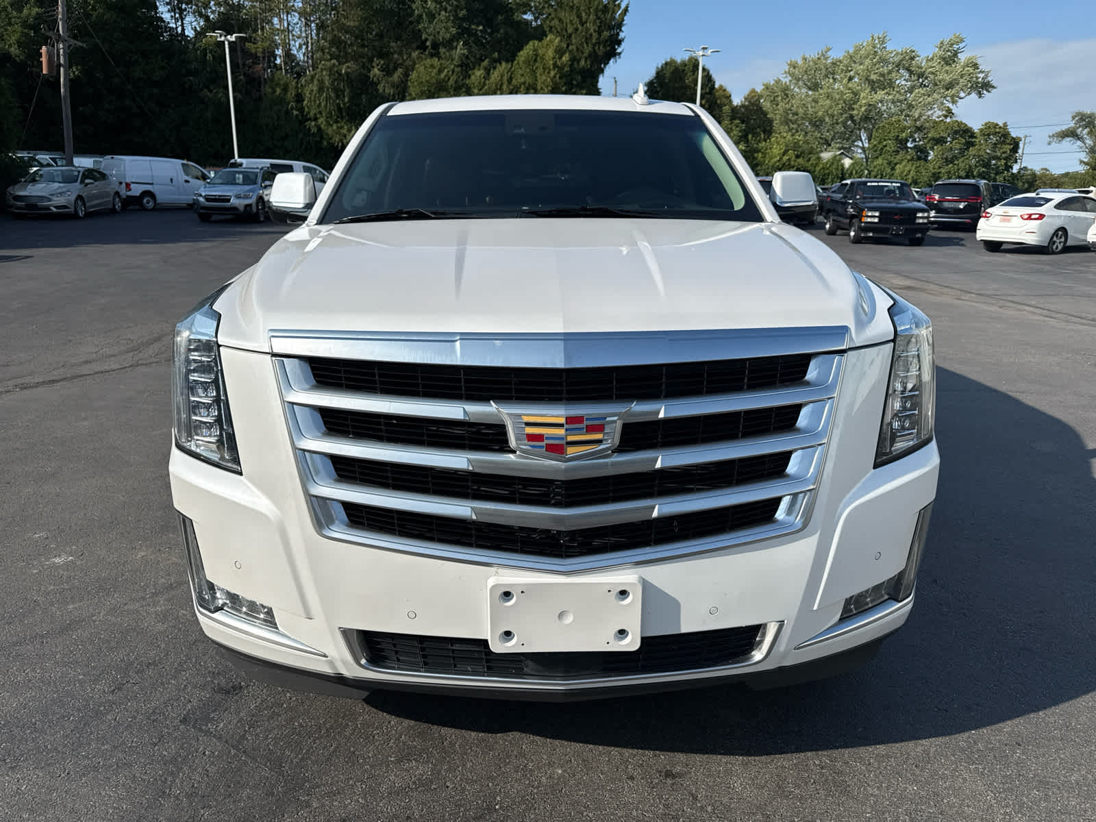 2019 Cadillac Escalade Premium Luxury photo 8