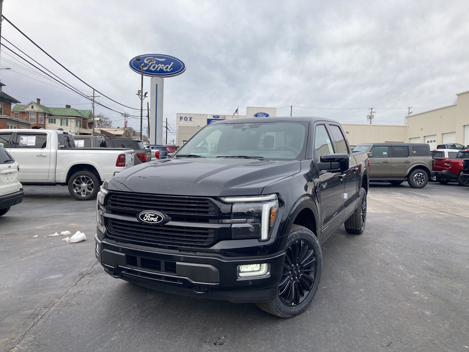 2025 Ford F-150 Platinum's photo