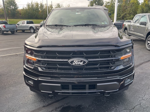 2025 Ford F-150 XLT photo 2