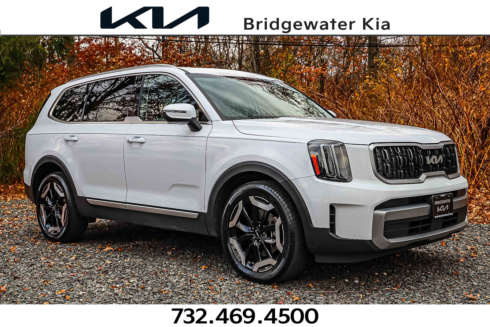 2023 Kia Telluride EX's photo