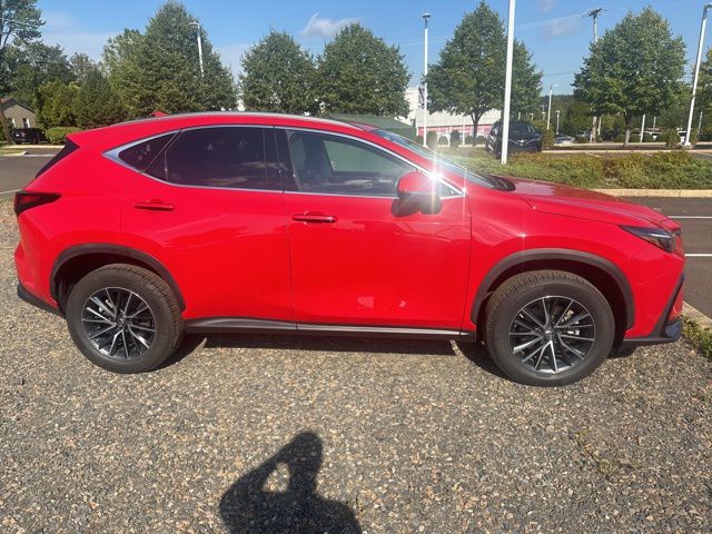 2022 Lexus NX 350h photo 4