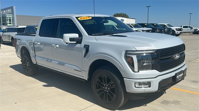 2025 Ford F-150 Platinum's photo