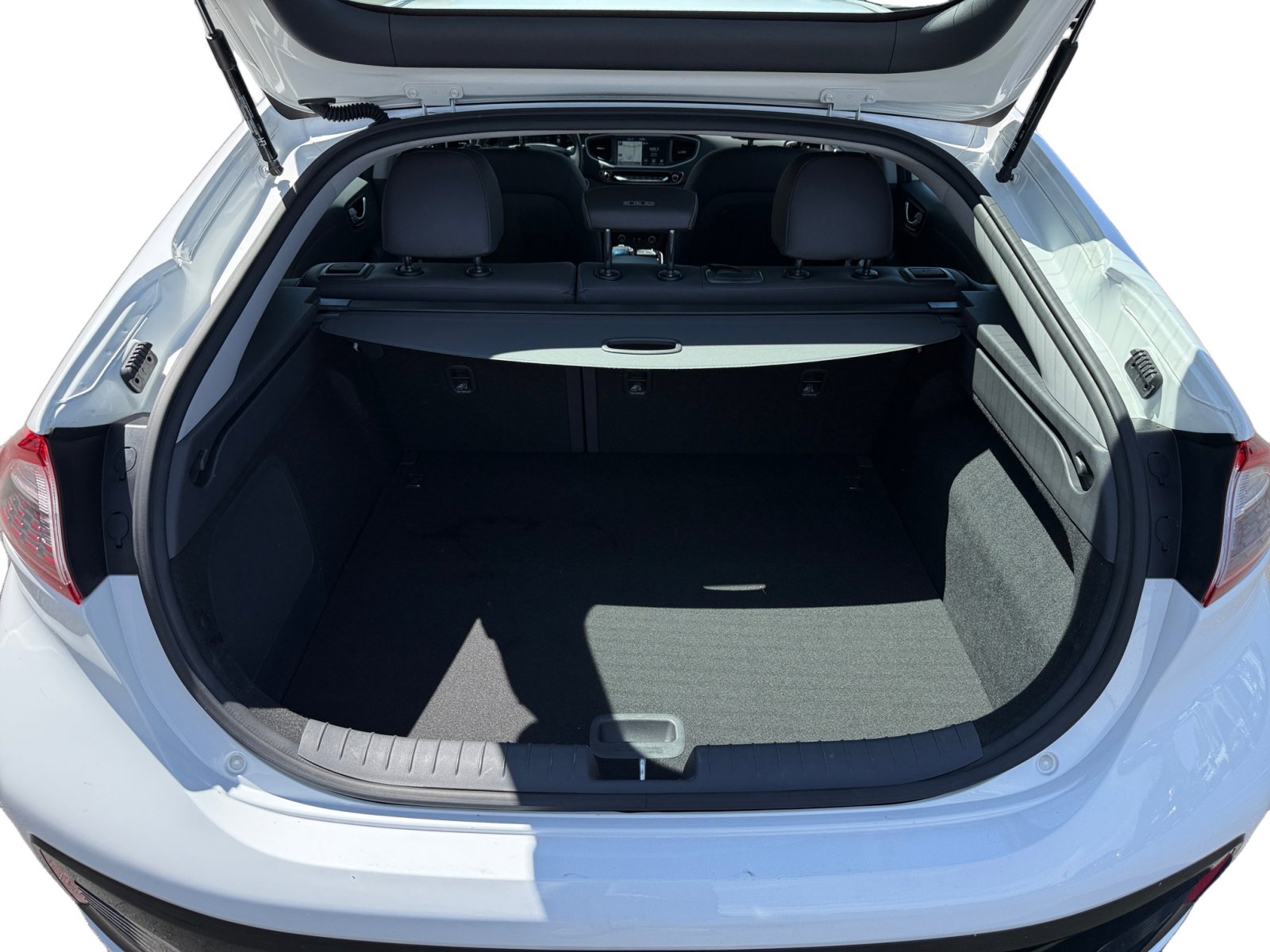 2019 Hyundai Ioniq Electric Limited photo 17