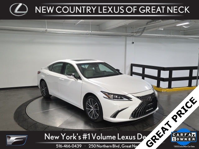 2023 Lexus ES 250's photo