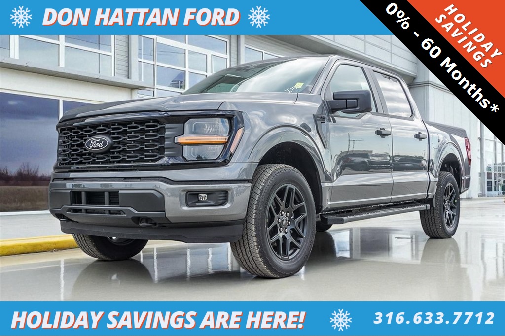 2025 Ford F-150 STX's photo