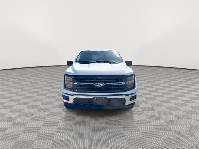 2024 Ford F-150 XLT photo 3