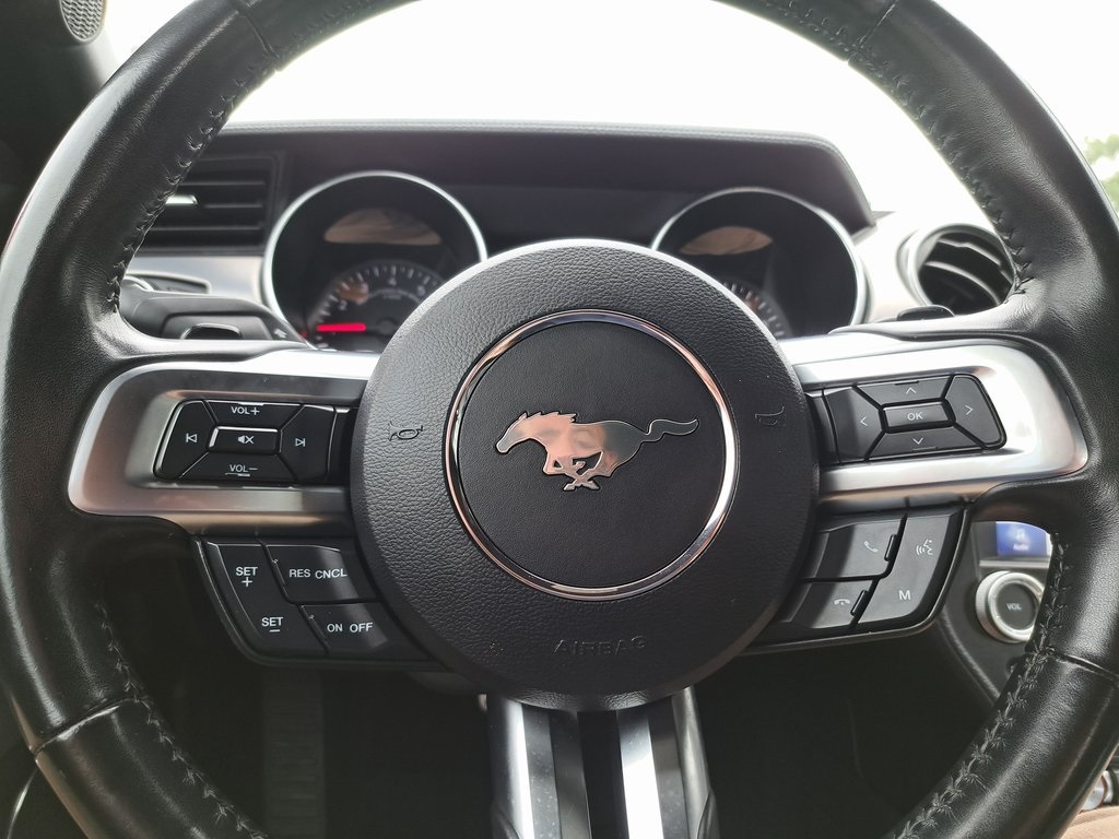 2020 Ford Mustang EcoBoost Premium photo 12