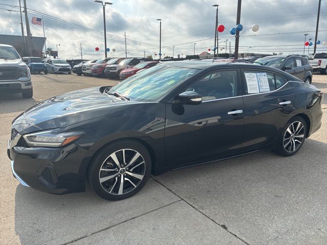 2023 Nissan Maxima SV photo 3