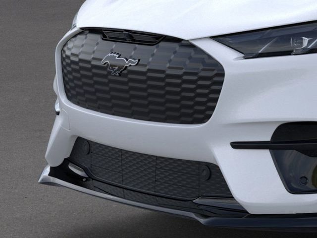 2025 Ford Mustang Mach-E GT photo 11