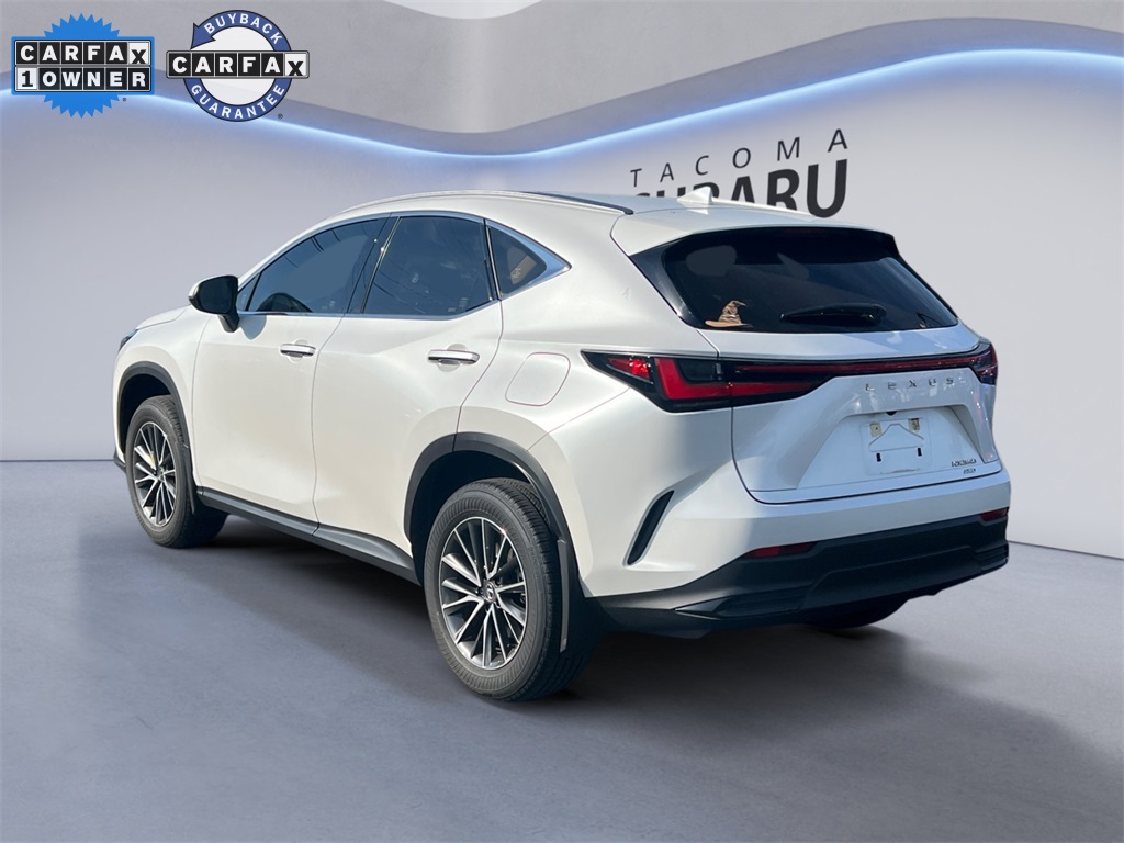 2024 Lexus NX 350 photo 2