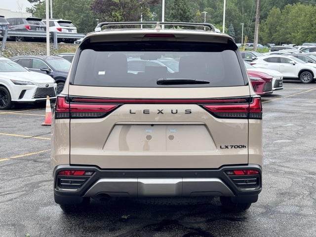 2025 Lexus LX photo 2