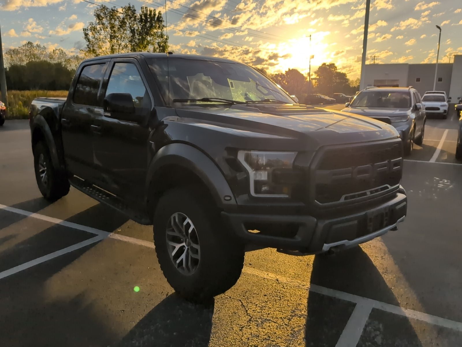 2017 Ford F-150 Raptor photo 7