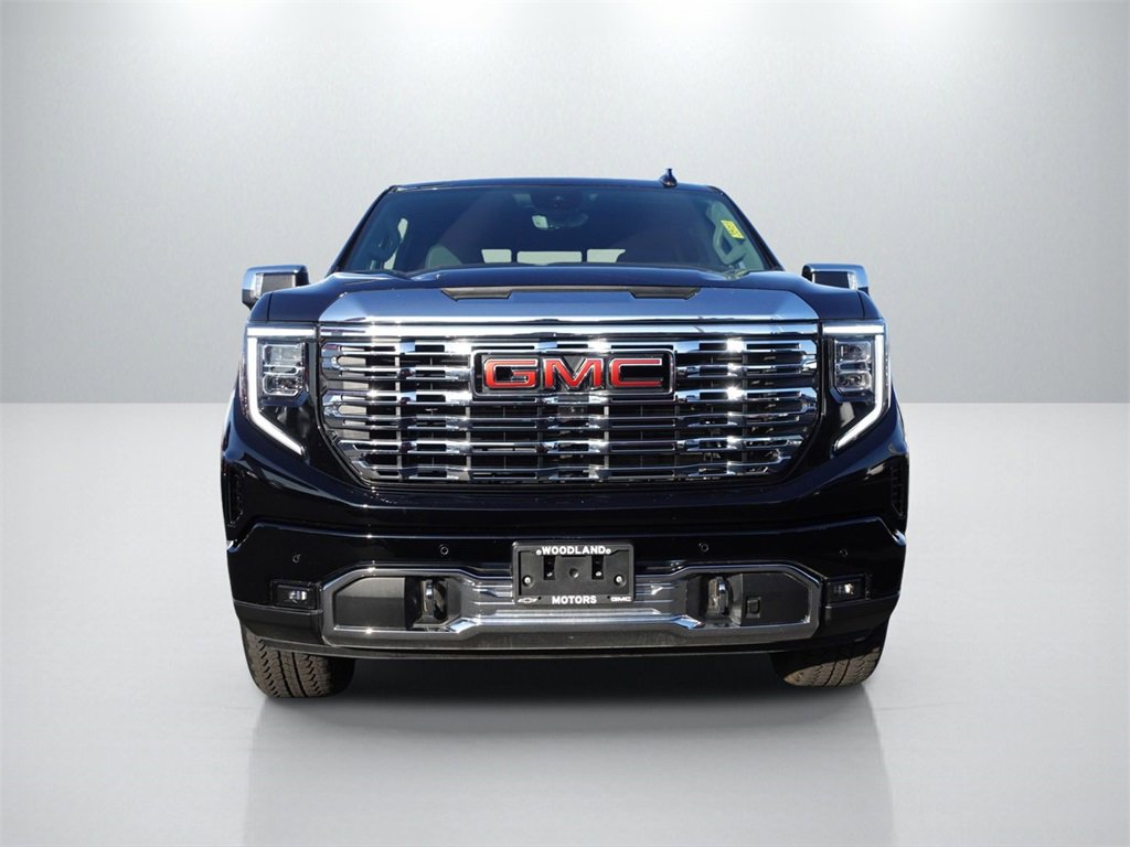 2023 Gmc Sierra 1500 Denali photo 3