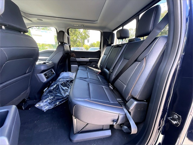 2025 Ford F-250 photo 10