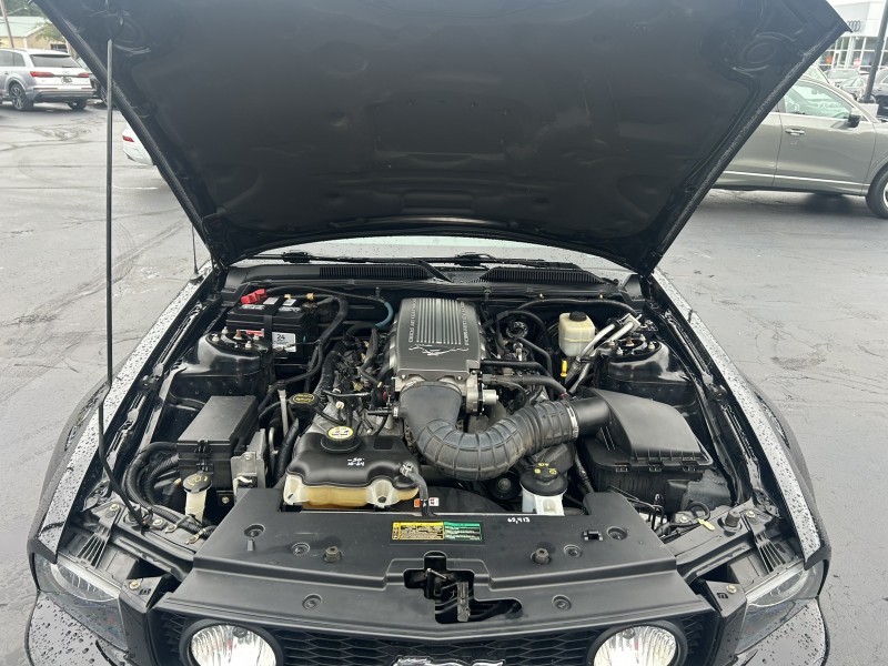 2007 Ford Mustang GT Deluxe photo 19