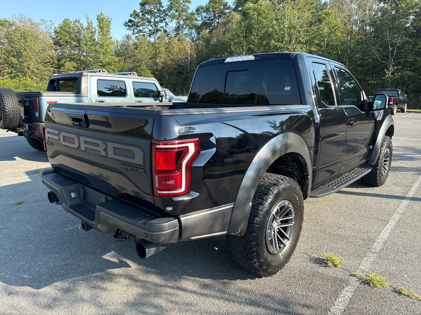 2020 Ford F-150 Raptor photo 3