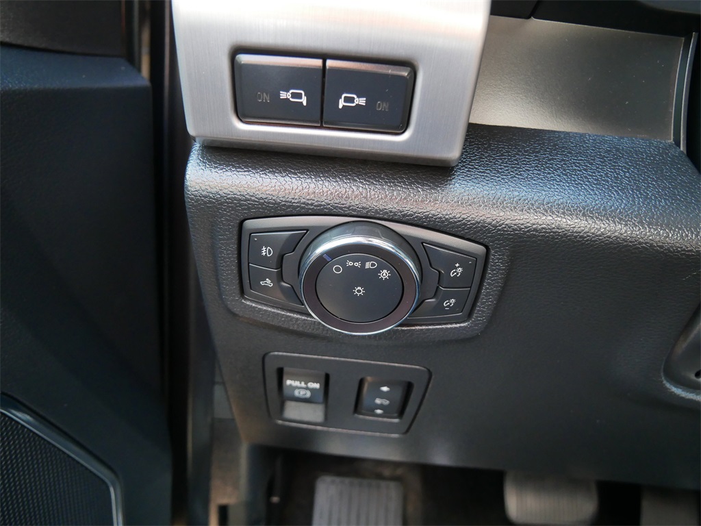 2019 Ford F-150 Platinum photo 31