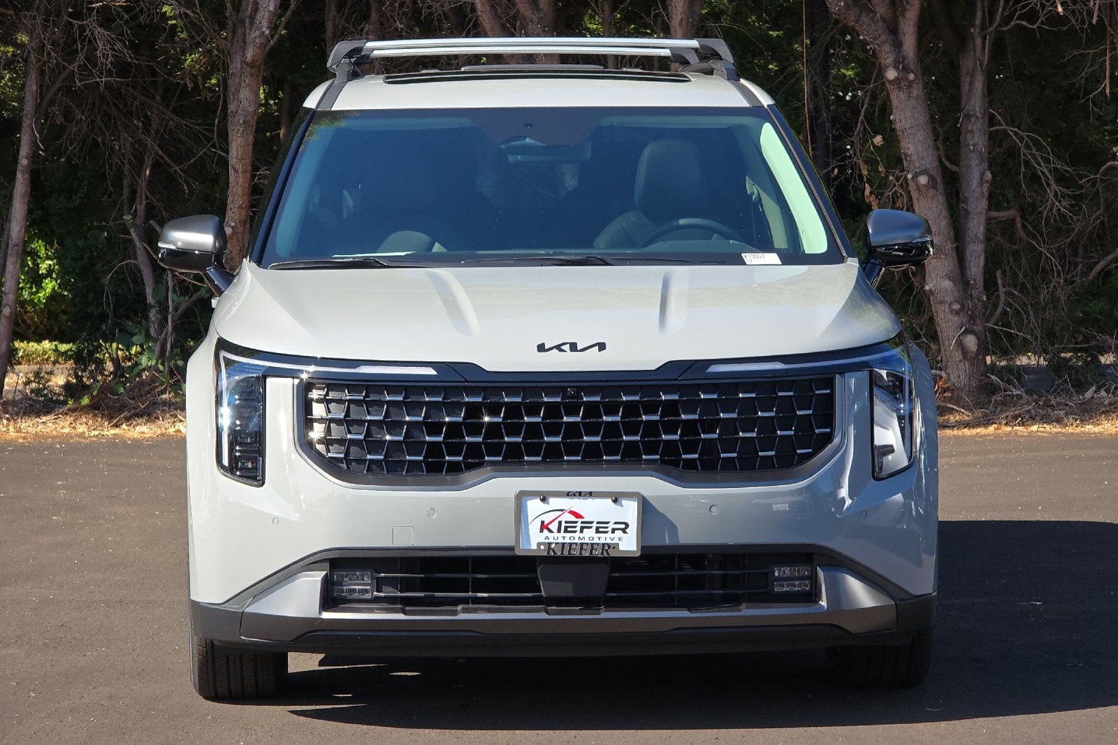 2026 Kia Carnival SX Prestige photo 4
