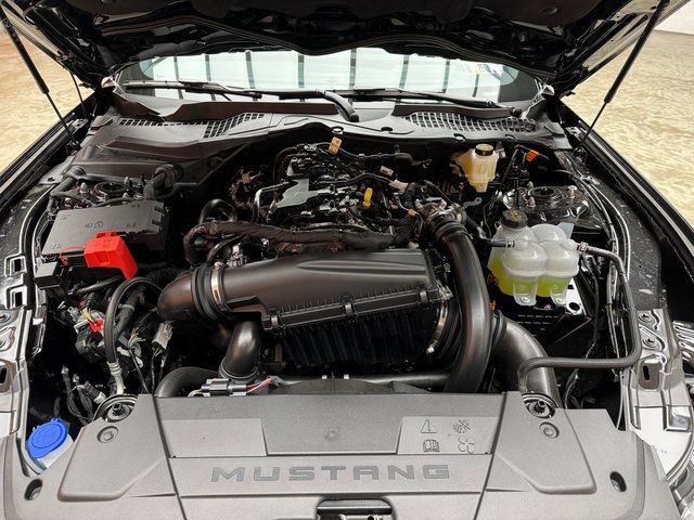 2025 Ford Mustang EcoBoost Premium photo 21