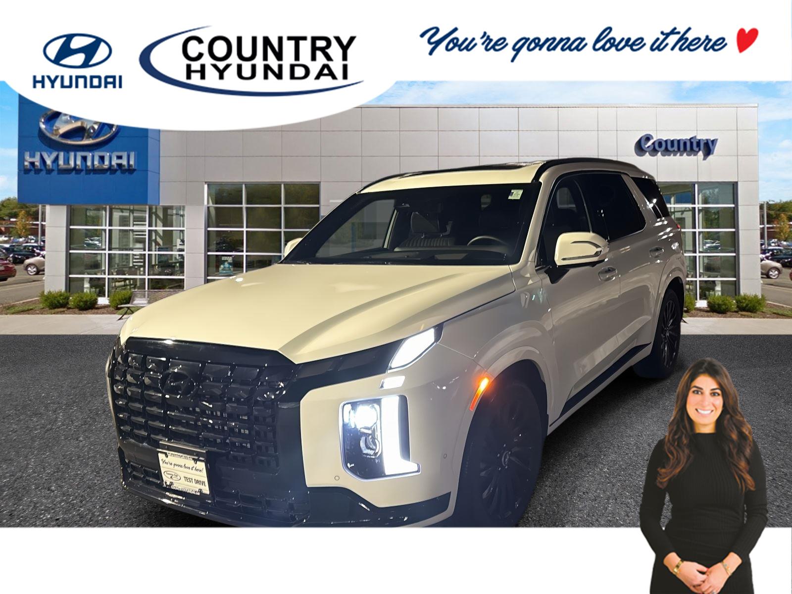 2025 Hyundai Palisade Calligraphy Night Edition's photo