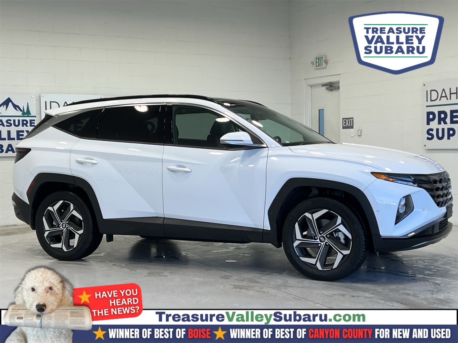 2023 Hyundai Tucson Limited's photo